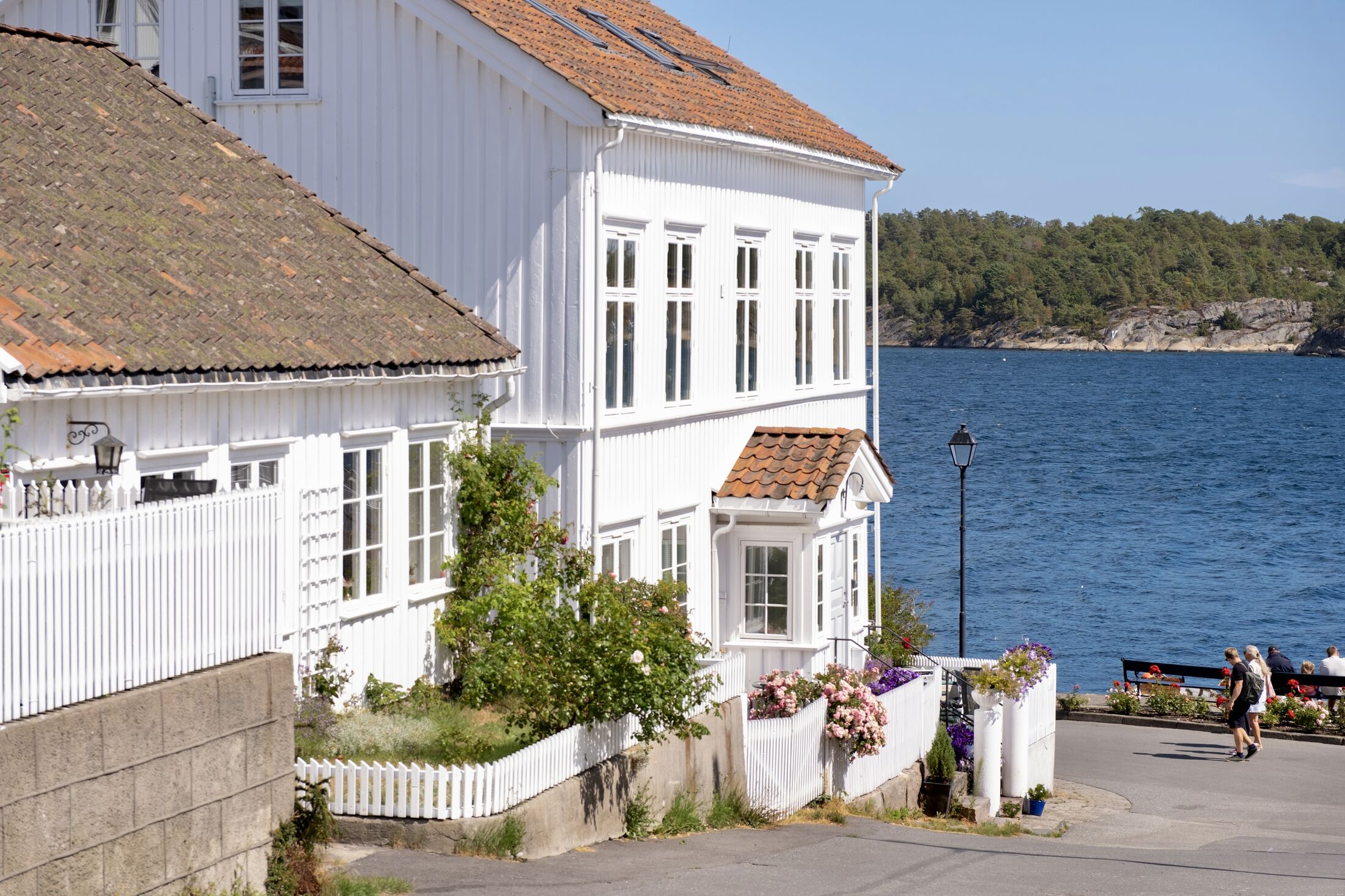 A white timber house at the water's edge in Risør, with a picket fence and roses
